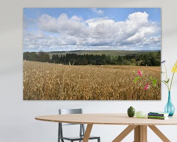 An oat field in autumn by Claude Laprise