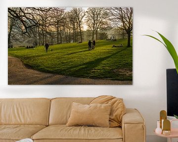 Summer evening in Sonsbeek park by Mario Visser