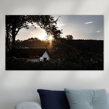 Shaded Serenity: Cottage Under Tree's Gentle Guard