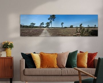 Een panorama over een heide met bomen