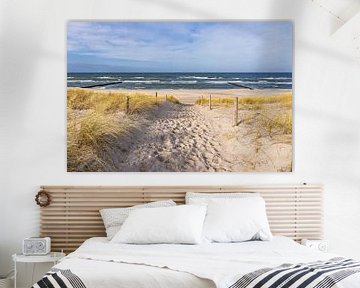 Beach on the Baltic Sea coast near Graal Müritz by Rico Ködder