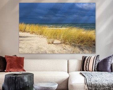 Beach on the Baltic Sea coast near Graal Müritz