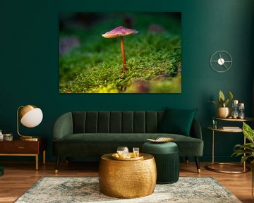 Mushroom in Star Moss by Dorieke Haaima