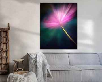 Modern Flower Pink Cosmos in Blue Light van Maneschijn FOTO