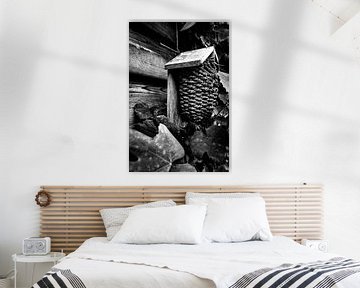 Maison d'oiseaux dans le jardin monochrome sur Faucon Alexis