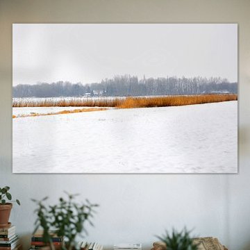 Fields in winter 