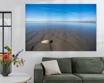 Coquille sur une plage vide avec une profondeur de champ limitée sur Sjoerd van der Wal Photographie