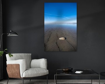 Muschel an einem leeren Strand mit begrenzter Schärfentiefe von Sjoerd van der Wal Fotografie