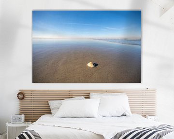 Shell on an empty beach with limited depth of field by Sjoerd van der Wal Photography