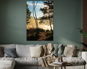 Late zomerochtend in het Venner Moor