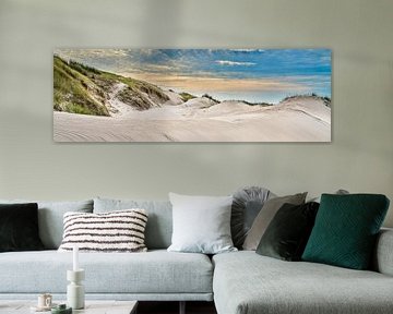 dunes along the Dutch coast in panorama by eric van der eijk