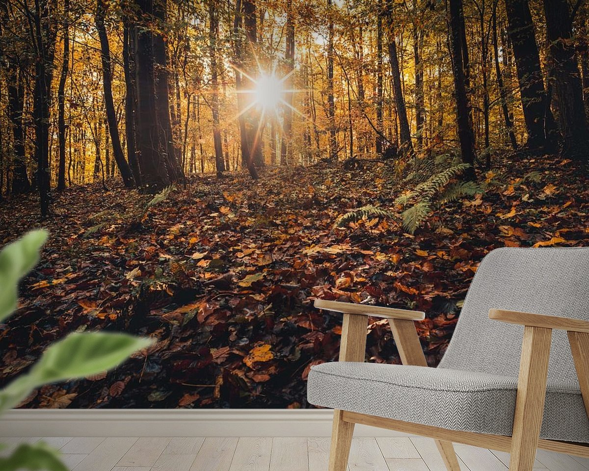 Raumvorschau