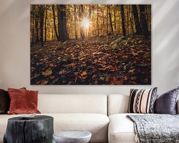 Herbststimmung im Wald von Catrin Grabowski