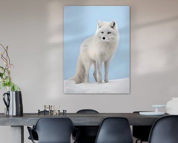 Polarfuchs in der grönländischen Tundra von Visuals by Justin