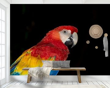 Porträt eines hellroten Ara