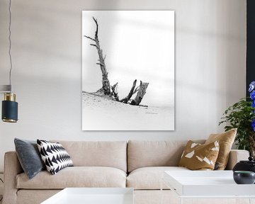 Zwart wit foto van eenzame dode boom bij Wekeromse Zand van Bianca Fortuin