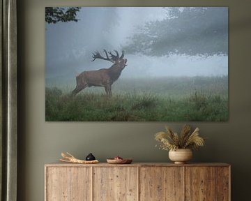 burling red deer by Andy van der Steen - Fotografie