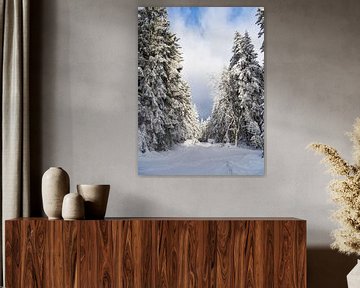 Landschaft im Winter im Thüringer Wald in der Nähe von Schmied von Rico Ködder