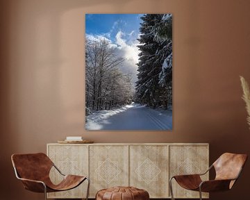 Landscape in winter in the Thuringian Forest near Schmied