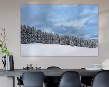 Landscape in winter in the Thuringian Forest near Schmied by Rico Ködder