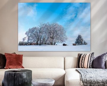 Paysage en hiver dans la forêt de Thuringe, près de Schmied sur Rico Ködder