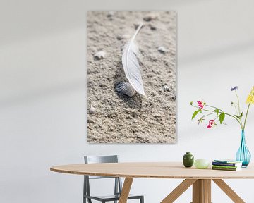 Feather and shell in the sand on the beach I Vlieland island by Lydia