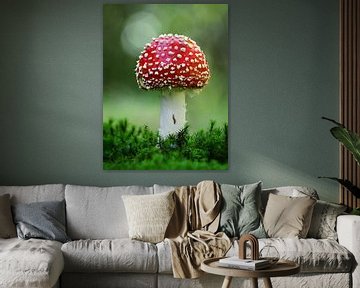 Fly agaric with tiny snail van Umberto Giorgio