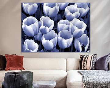 Tulpen in blauw-wit van Ina Hölzel