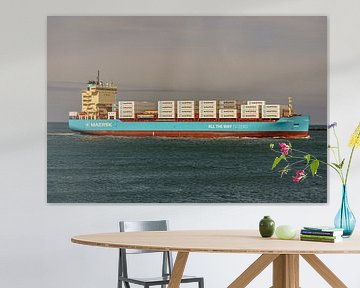 Milieuvriendelijk schip van Maersk: Laura Maersk. van Jaap van den Berg