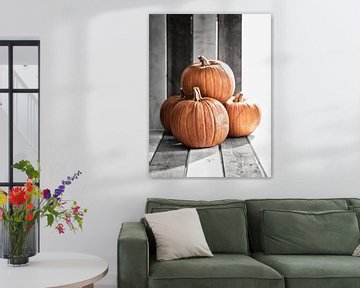 Pumpkin season by Martijn Hoogendoorn