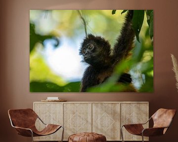 Ein durchsichtiger Blick auf einen Affen mit schwarzem Griff von Bjorn Donnars