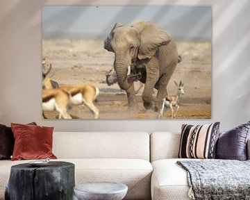 Un éléphant de la savane africaine en action sur Bjorn Donnars