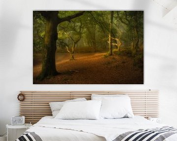 Mysterious forest with ancient jagged oak trees by Moetwil en van Dijk - Fotografie