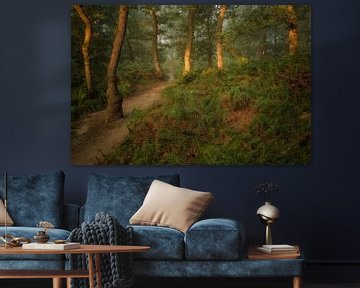 In the forest with the ferns by Moetwil en van Dijk - Fotografie