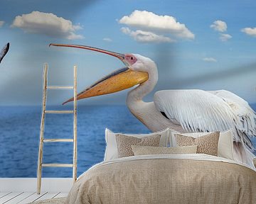 Pelikan fängt einen Fisch