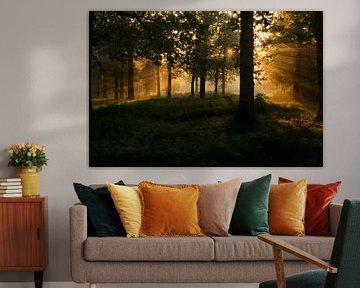 Bos met goud licht van Moetwil en van Dijk - Fotografie