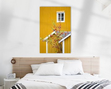 Yellow Norwegian house detail with tree and red berries by Melissa Peltenburg