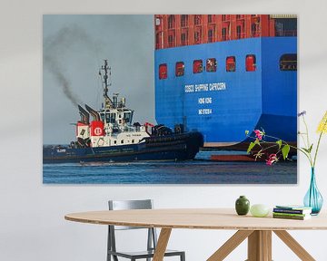 Tugs and container ships. by scheepskijkerhavenfotografie