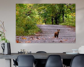 Een vos op de weg in de herfst van Claude Laprise