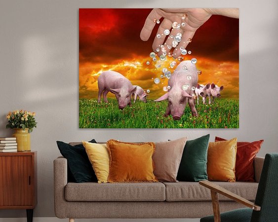 Aperçu de la chambre