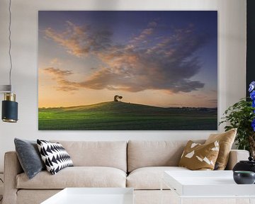 Toscane, paysage de la Maremme. Vieux moulin à vent et arbres. sur Stefano Orazzini