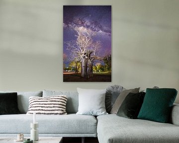 Baobab Galaxy by Ronne Vinkx
