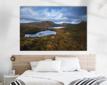 Cradle Mountain meren van Ronne Vinkx