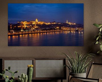 The Castle Palace in Budapest on the Danube by Roland Brack