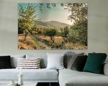 Idyllische boomgaard in Italië van Lima Fotografie