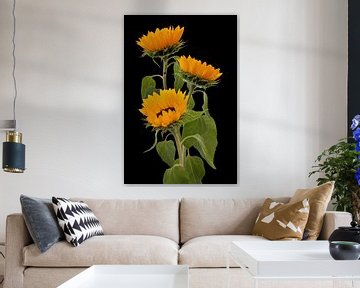 3 Sunflowers by Klaartje Majoor