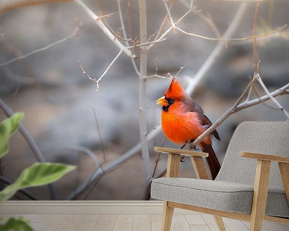 Voorbeeld van het werk in een kamer