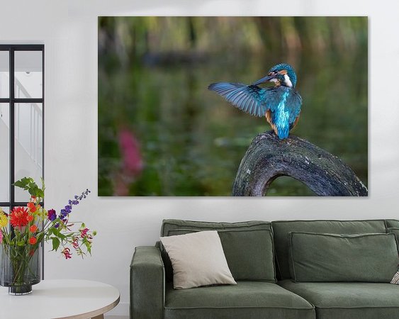 Aperçu de la chambre