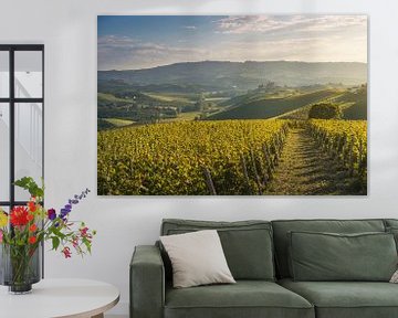 Langhe wijngaarden en kasteel Grinzane Cavour, Italië van Stefano Orazzini