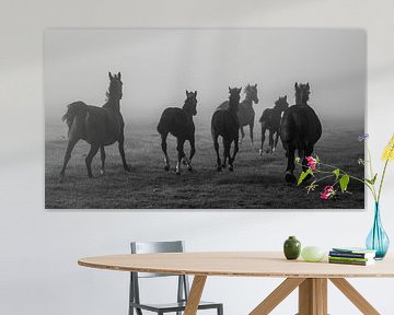 Pferde im Nebel von André Hamerpagt